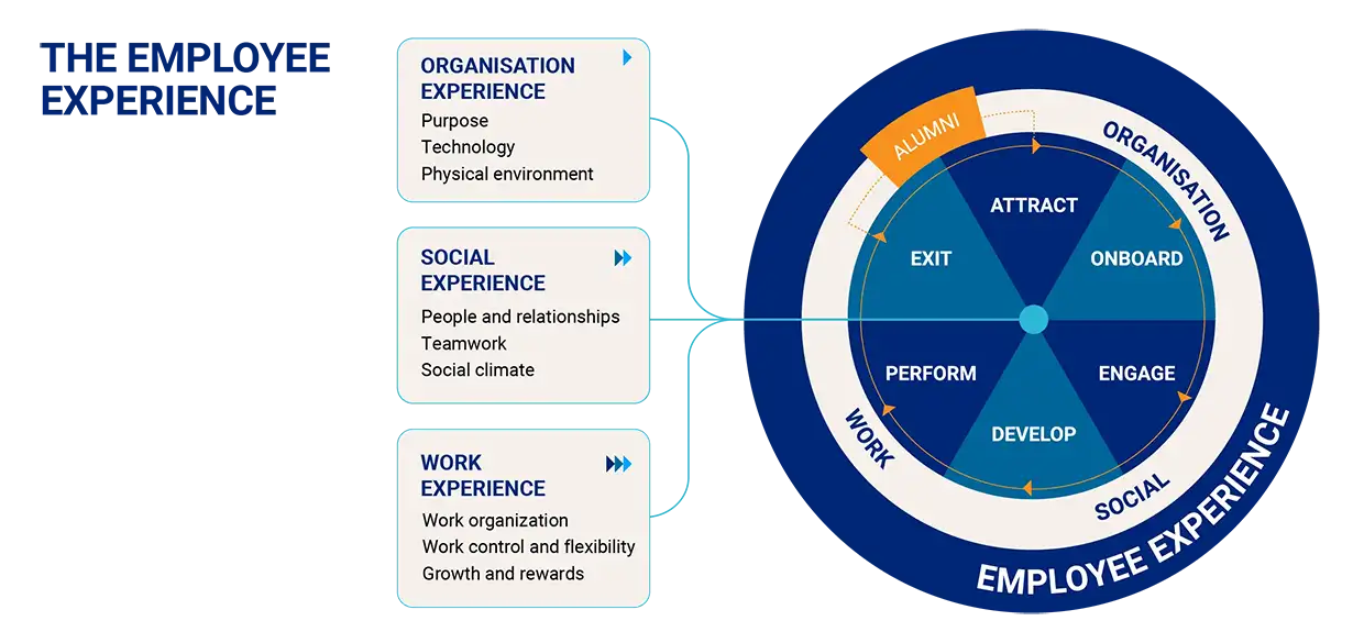 the employee experience