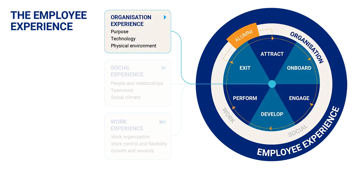 Employee experience