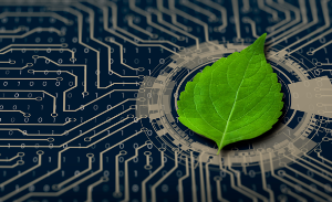How tech companies big and small are tackling the climate crisis